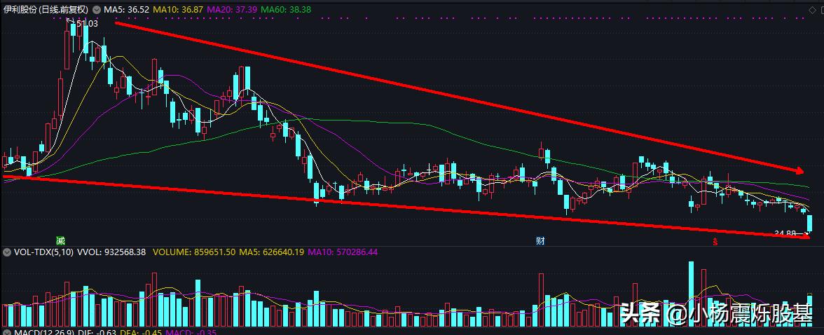 伊利股份为啥下跌,伊利股份为何业绩好还一直降
