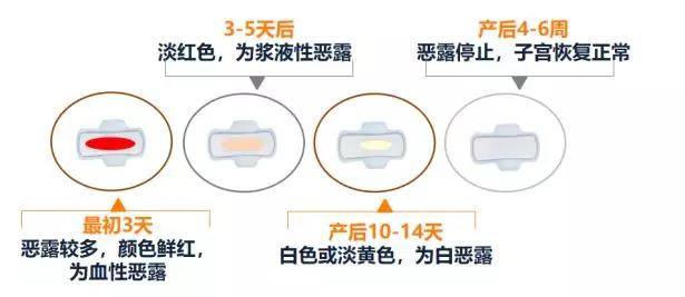 产后妈妈如何看自己月经恢复,产后怎么判断子宫恢复位置正常