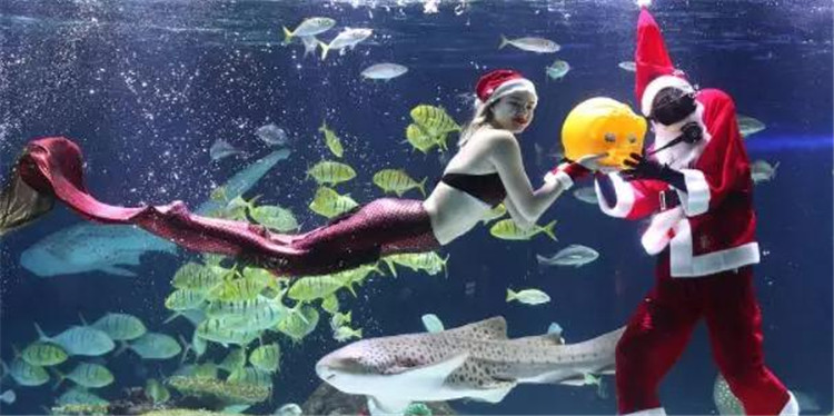 南京金鹰动物世界何时开,南京金鹰动物世界在哪里购票