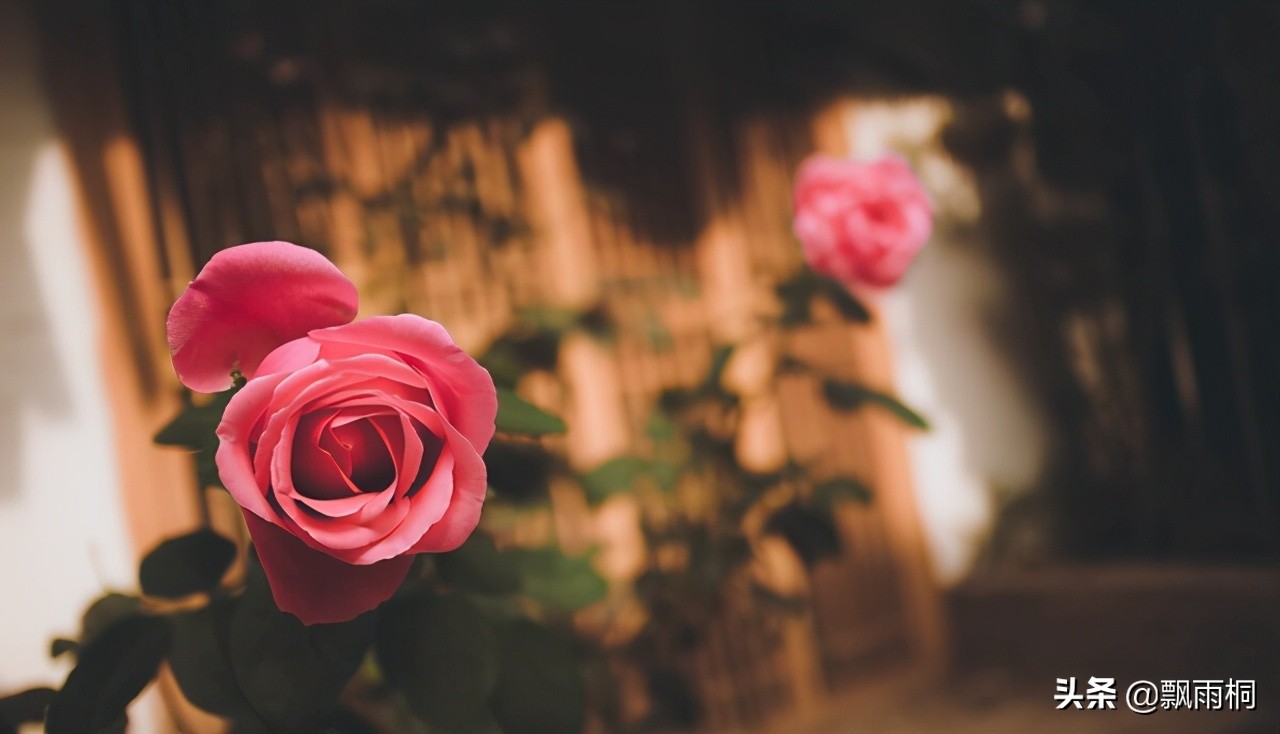 聪明媳妇是怎样跟婆婆搞好关系,怎么跟婆婆相处才好呢