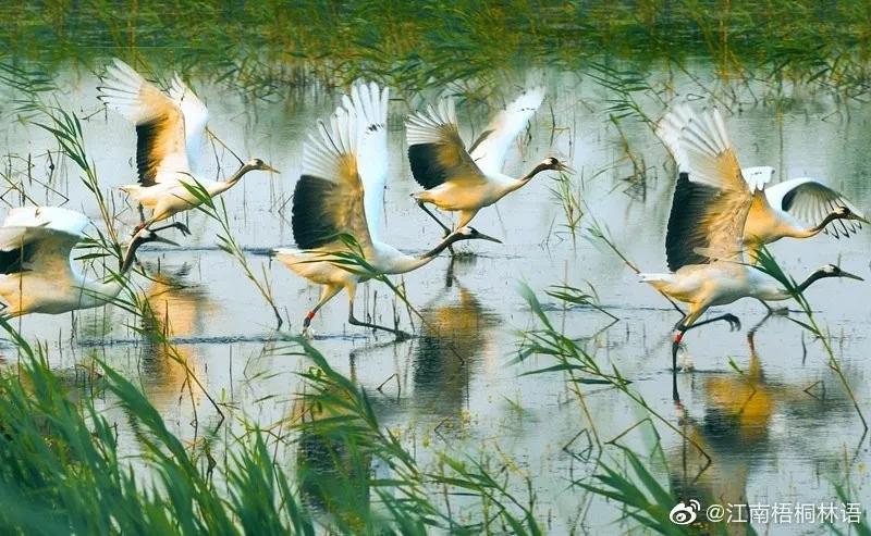 江苏周末旅游推荐排行榜,江苏旅游攻略四天三夜景点