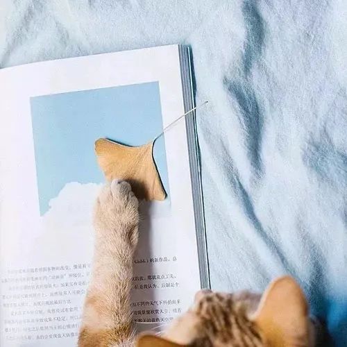 朋友圈背景图梦幻暖光,朋友圈温馨封面背景图