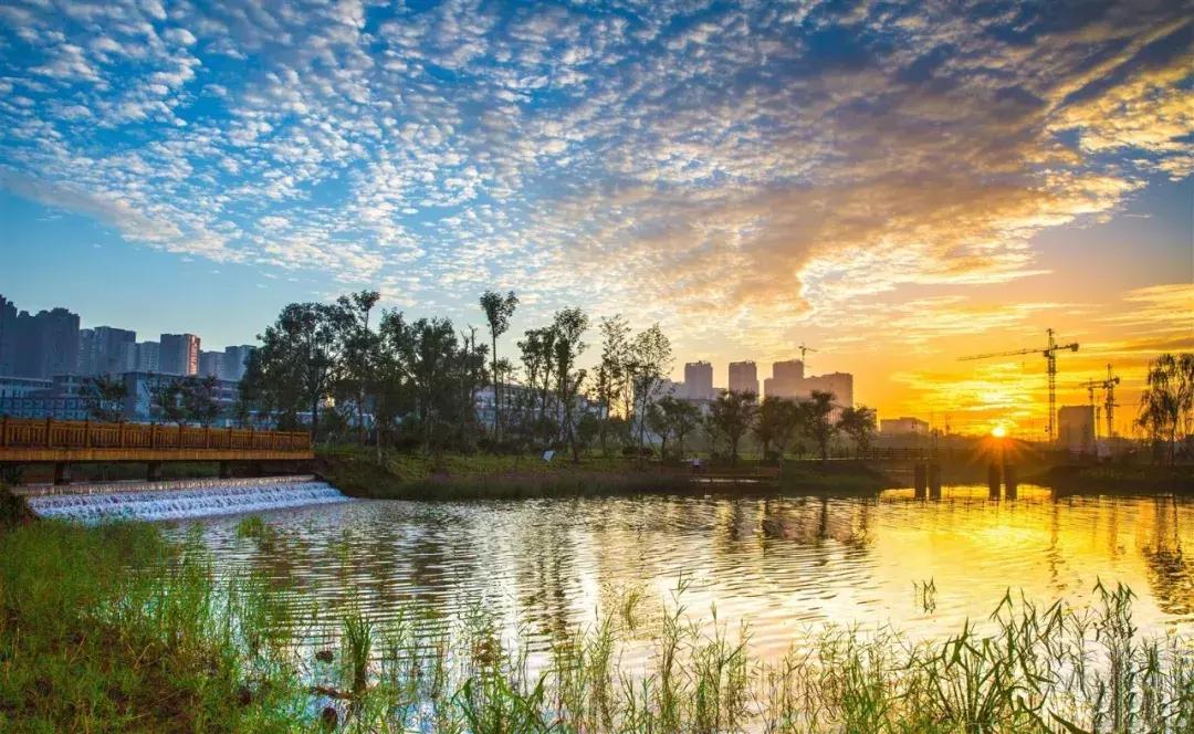 全球启动！仁寿城市发展再升级，牛牛牛！