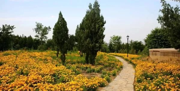 潍坊最美环山公路,潍坊市最美绿道