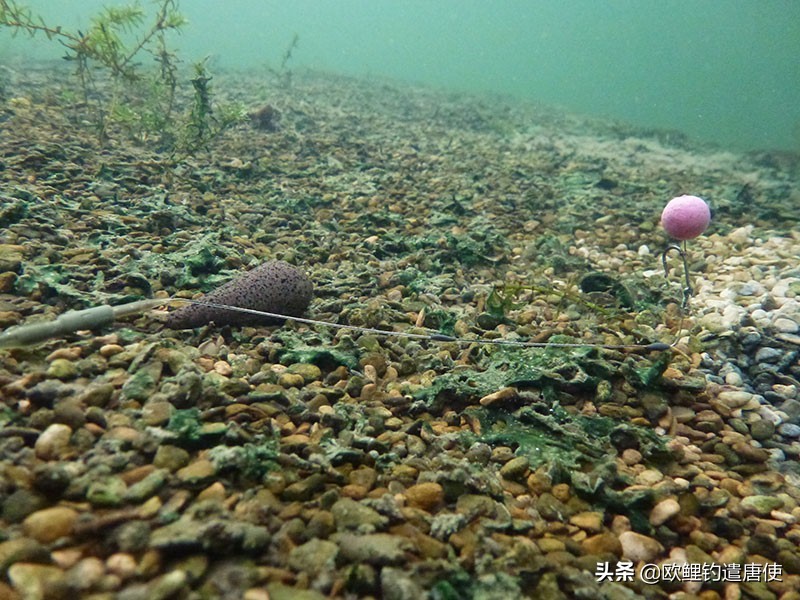欧鲤钓各种钓组优势,话说欧鲤钓之铅坠篇