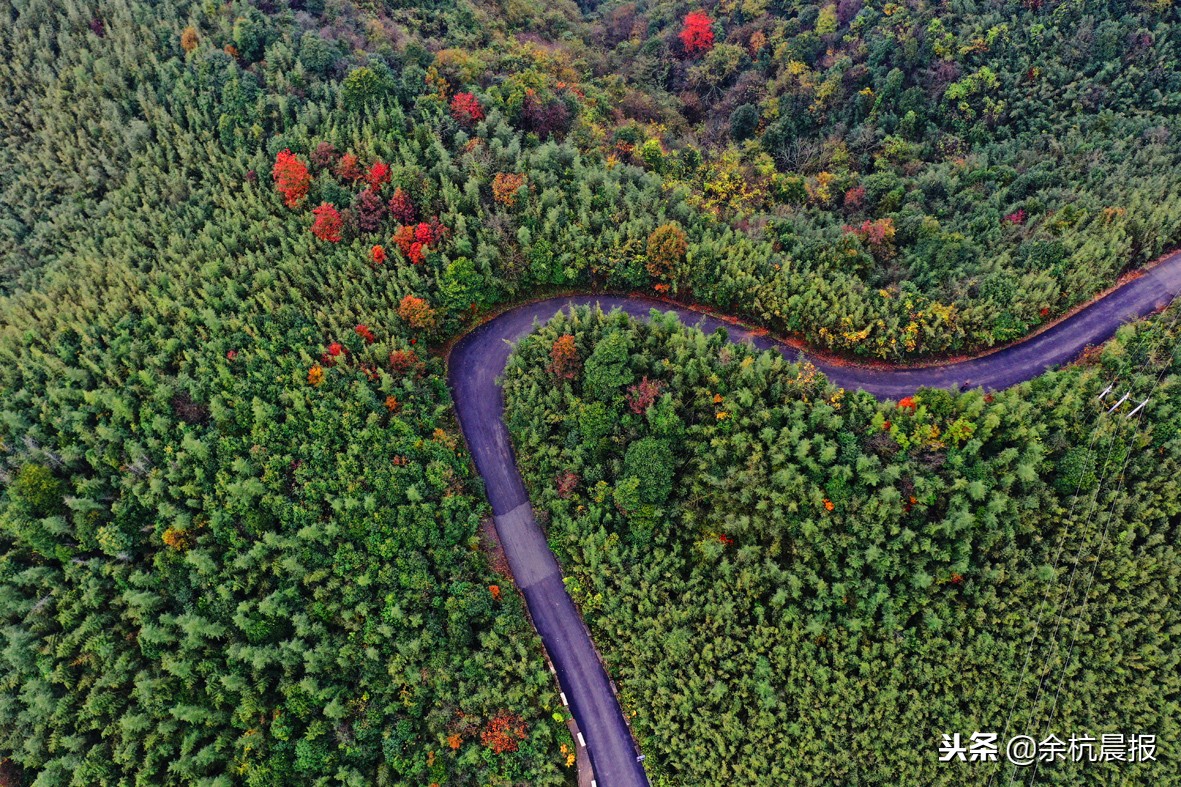 走进中泰,这里是泰国
