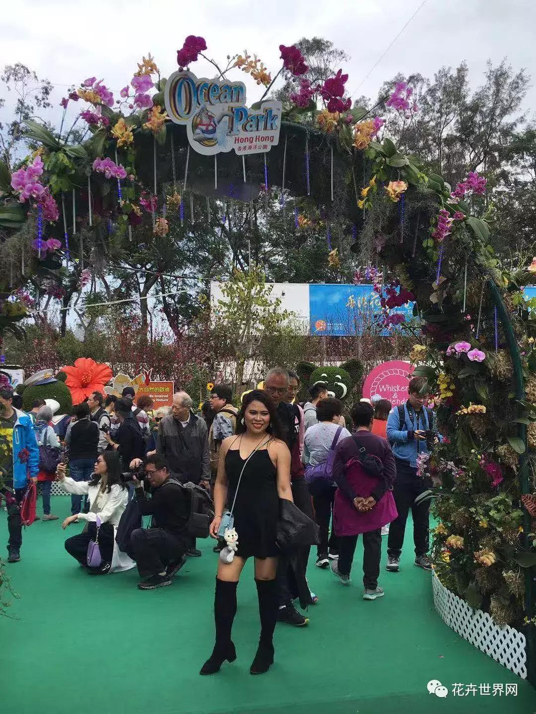 香港花卉艺术展,共赴盛会活动