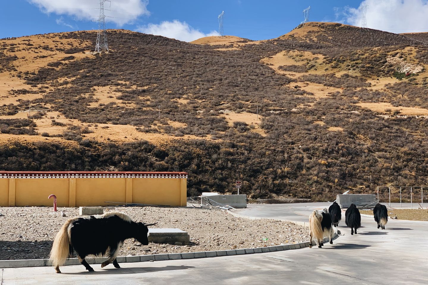 为什么现在人们不喜欢消费了,现在穷游的人越来越多了