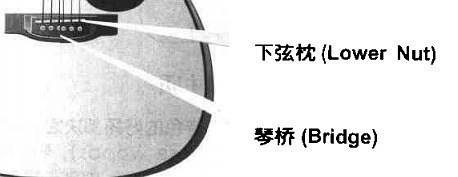 肥肥鱼吉他教程,快速入门吉他教学大章鱼