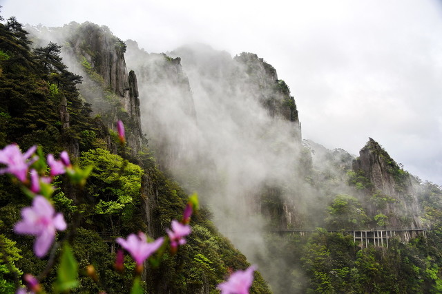 职业交易员期货实盘操作,最成功的期货交易员