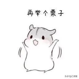 外汇技术分析知识大全,外汇技术分析讲解