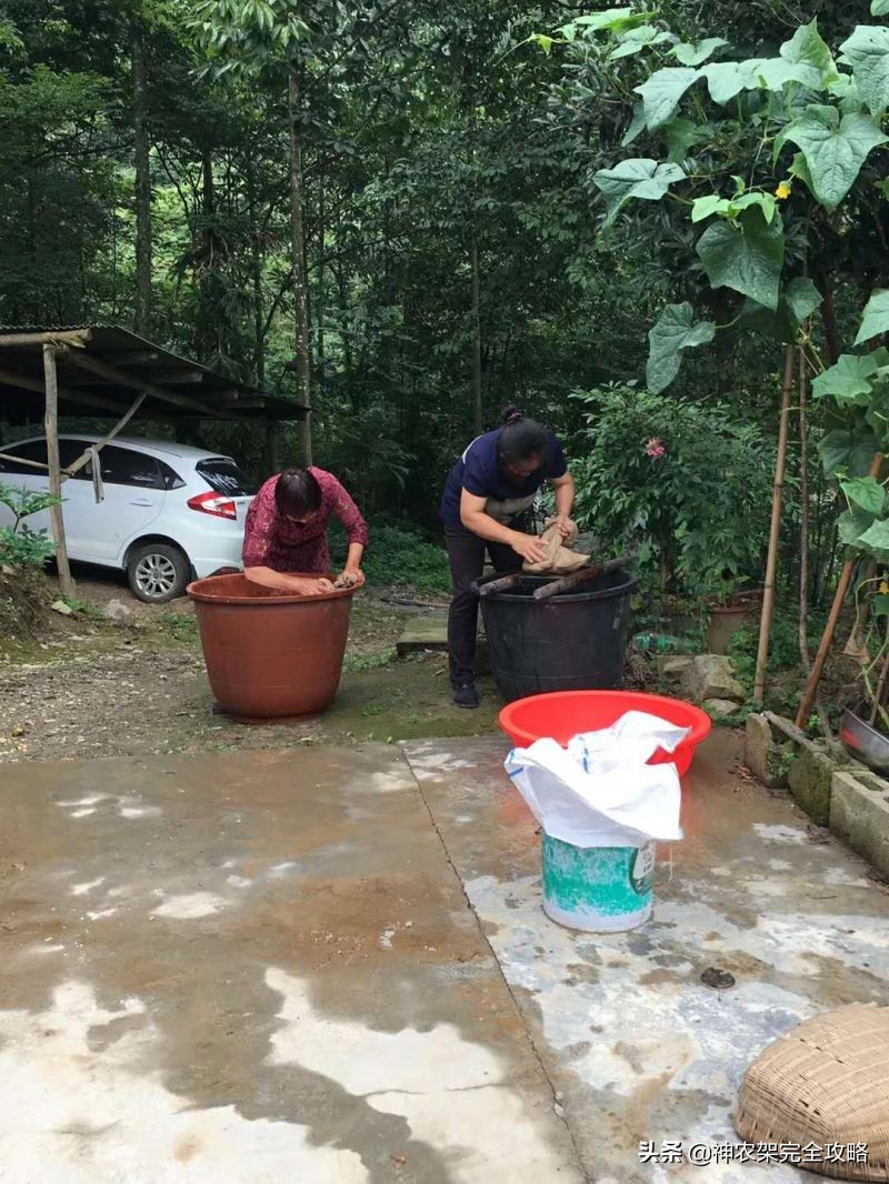 神农架前世今生,神农架祖先是谁