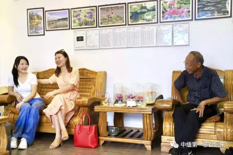 泰国顶级睡莲博士Dr.Nopchai版纳行，被勐景来圈粉