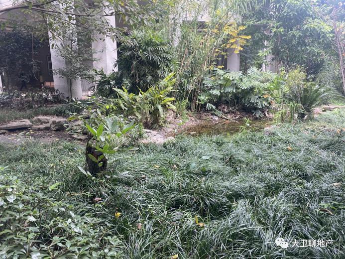 江北嘴的房子多少钱一平,江北嘴最便宜的房价