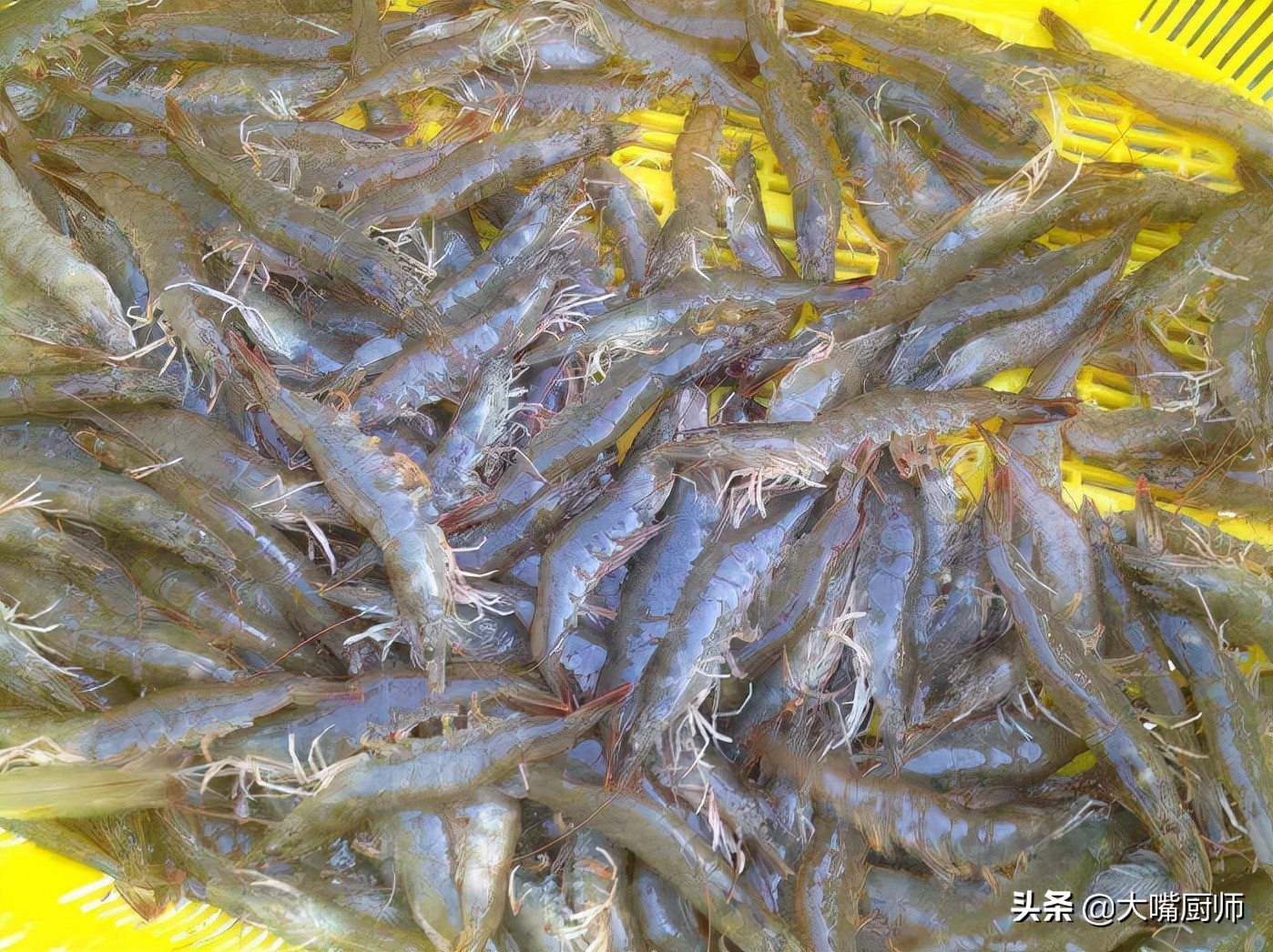 明虾和罗氏虾哪个口感好,明虾罗氏虾基围虾哪个好吃