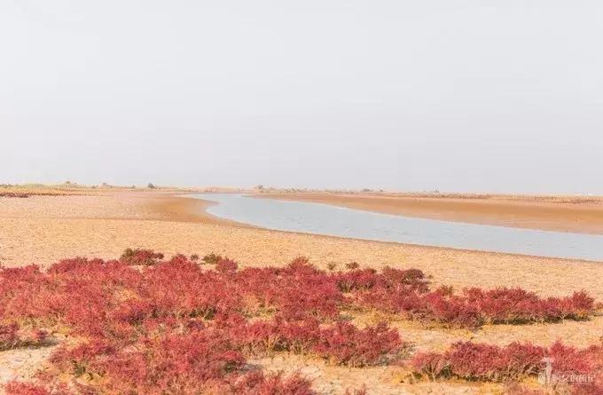 前方高能预警会怎样,前方高能预警提示