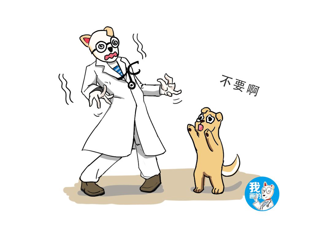 养狗遛狗能降低血压吗,养狗治好低血压