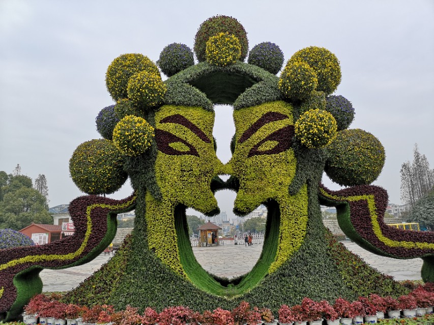 宜兴竹海游和龙背山森林公园游记