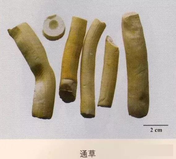 中药材图片大全大图带药名,200多味中药材图谱带图