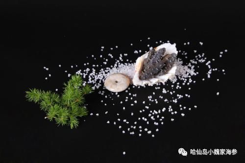 海参怎样吃才能发挥其最大化作用,海参的皮有营养还是筋有营养