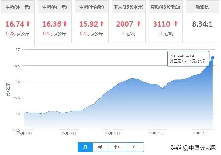 吉林猪价位攀榜首，东北猪价飙升势不可挡