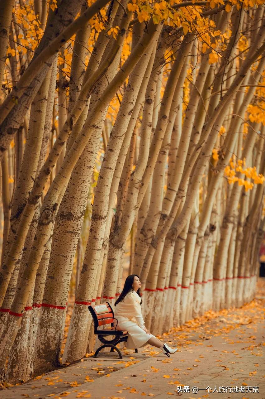 西北第一条高铁,苦等11年