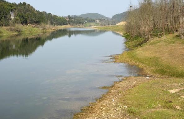 傻子路过一片甘蔗地，被一具女尸绊倒，转身逃跑却被女尸一手抓住