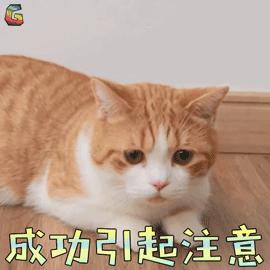 养肤粉底有用吗,养肤粉底液可靠吗