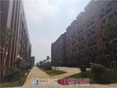 柳州市2024年柳高推荐名额分配,柳州铁一中柳高2023网招对比