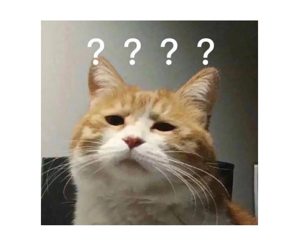 除了元气森林还有什么乳茶,除了元气森林还有什么