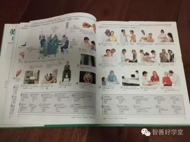 干货国语版,干货满满的背诵知识