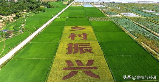 山东高校青岛农业大学最新排名,青岛农业大学在农业院校的排名