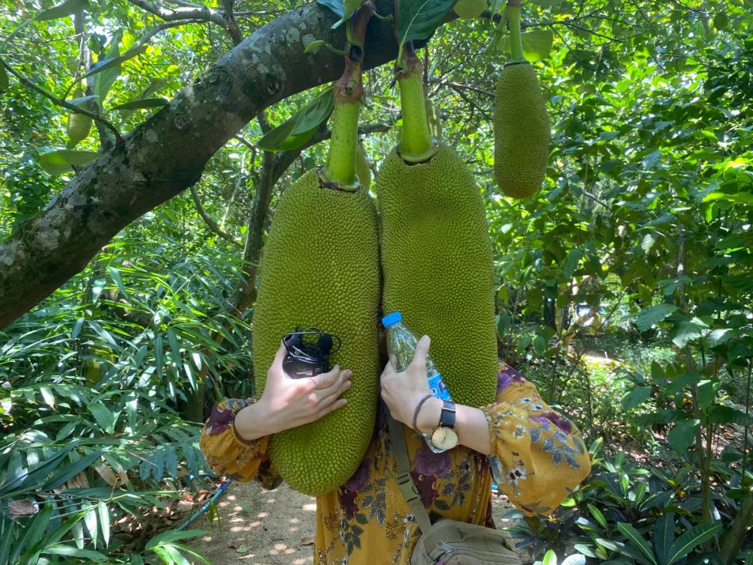 自称“18岁”日本大叔为冲浪定居海南11年：我是海南人了