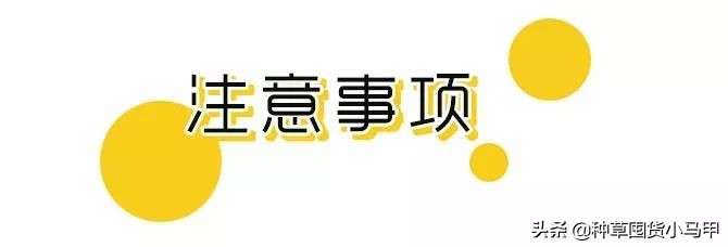 假代购真实案例,假代购常用骗术揭秘