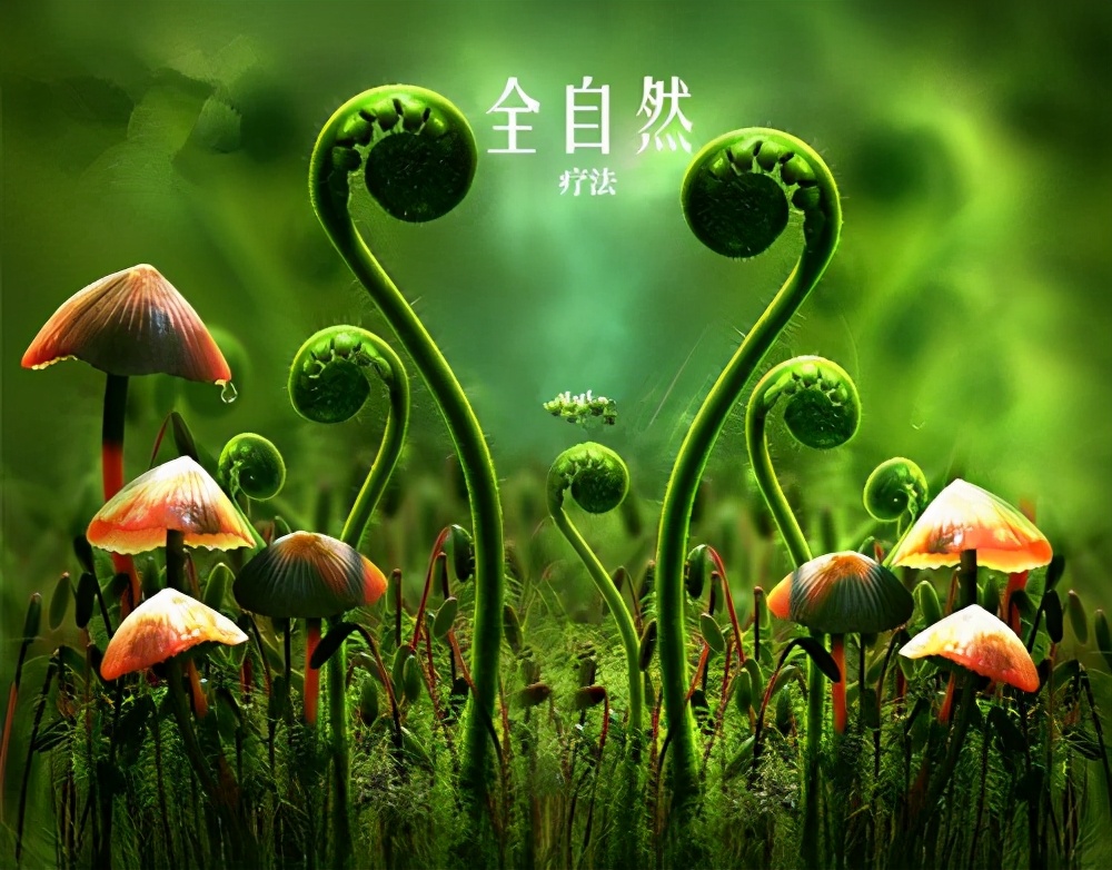 坐禅冥想引导15分钟,坐禅静心修炼方法