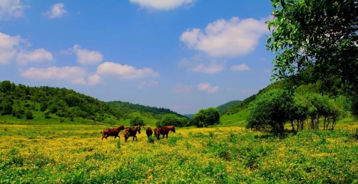宝鸡附近避暑绝佳的地方,宝鸡十大避暑景点排名第一