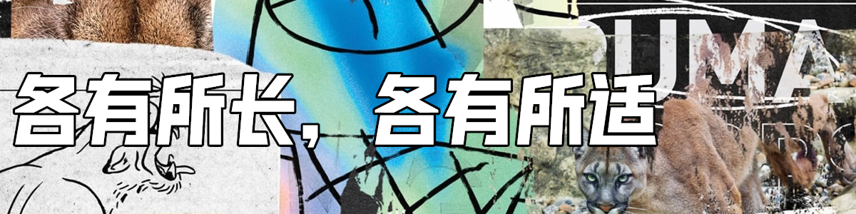 买好看又好穿的实战鞋,我居然会先想到Puma