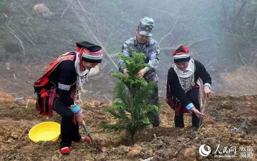 军礼的震撼瞬间,最动容的军礼