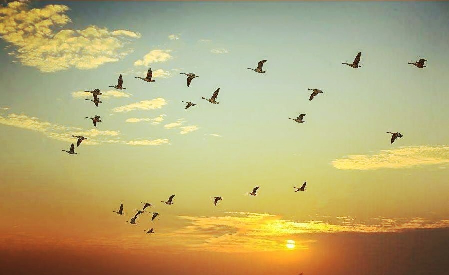 范仲淹杰出事迹,北宋历史名臣范仲淹