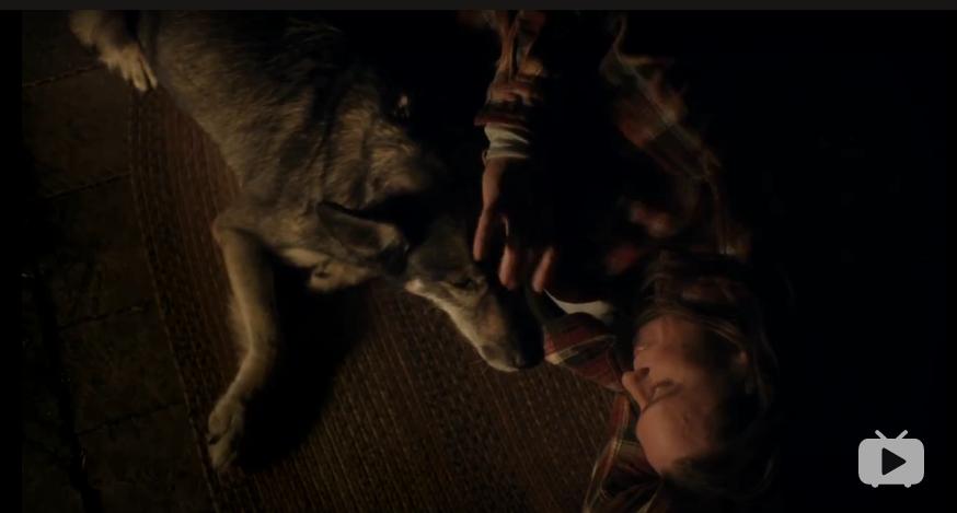 苍天啊大地啊是刘欢的哪首歌曲,苍天啊大地啊是哪个小品