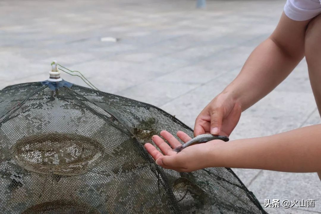 逃离高温“熔炉”，南方的夏天就该玩雪