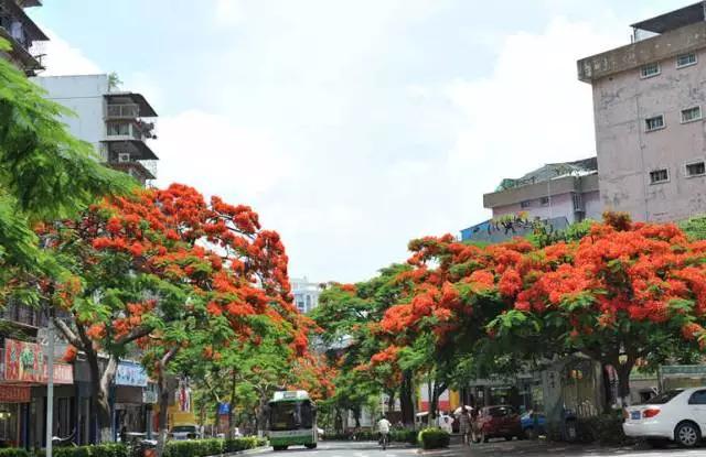 去厦门吹海风,来去厦门观光享受清凉的海风