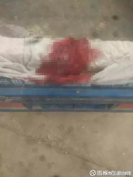 甘肃女孩被打身体出血,甘肃8岁女孩被打事件最新消息