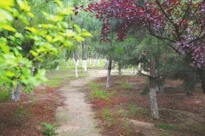 娓呮渤婊ㄦ按缁垮粖澶滄櫙,娓呮渤婊ㄦ按缁垮粖鍥剧墖