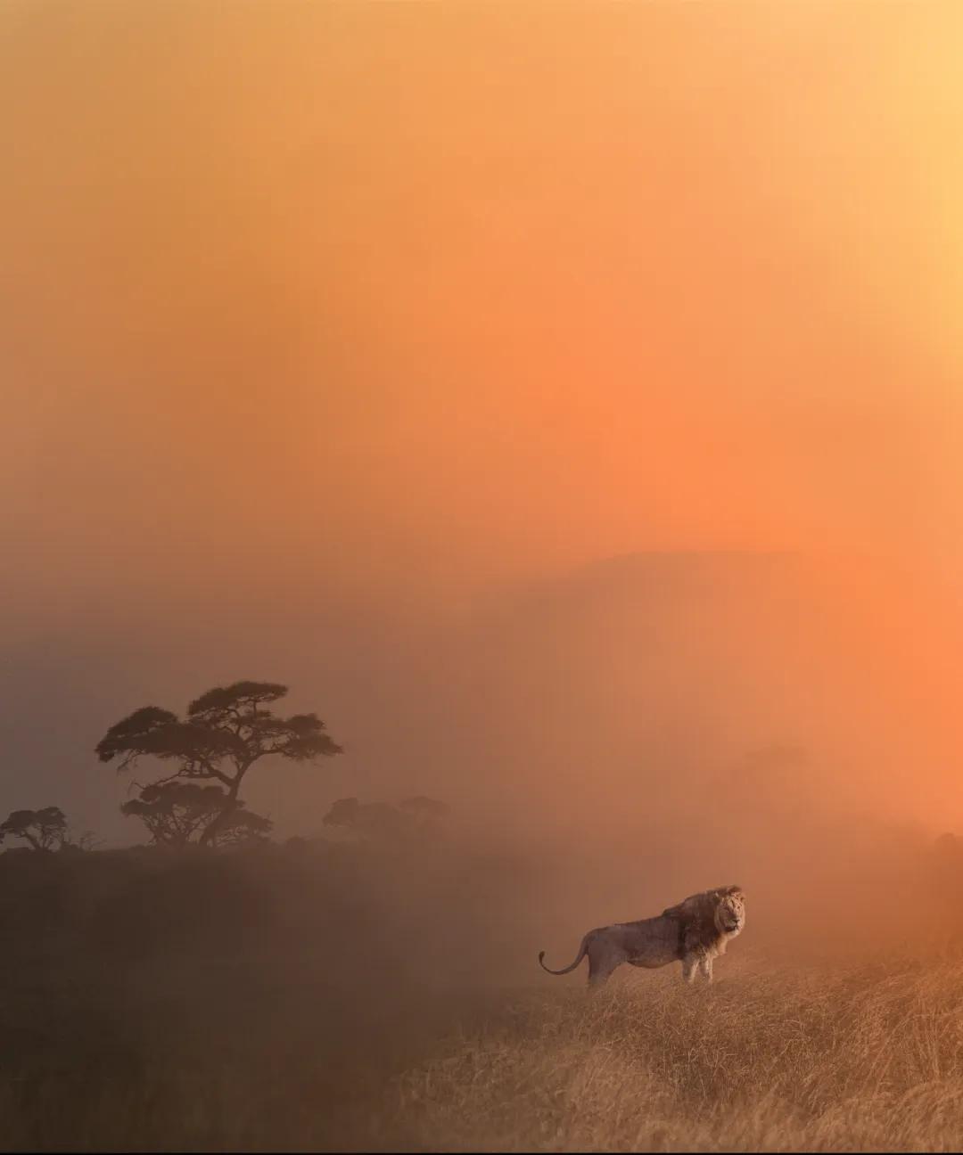 香港第14届全国摄影艺术展,第29届全国摄影艺术展览获奖名单
