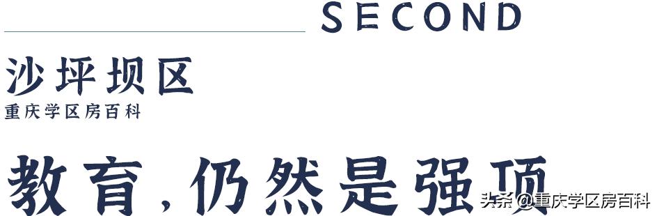 沙小、树人、七中!来看沙坪坝如何布局教育资源
