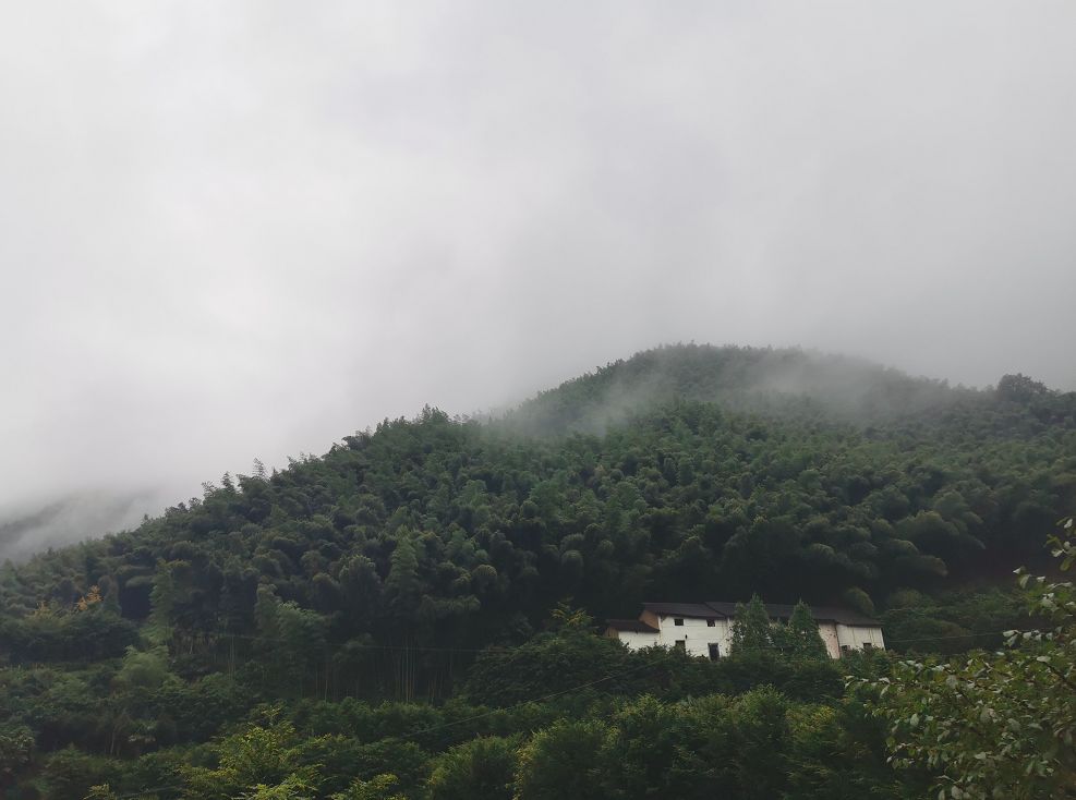 一场烟雨，把人困进仙境！藏在金华南山的这个小村，不求爆红，只求安静邂逅！