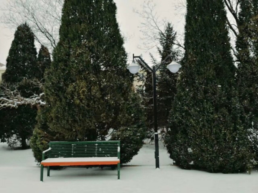 银川能源学校,银川能源校园风景