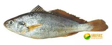 舟山海鲜代加工攻略,最全舟山海鲜攻略