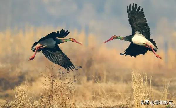 遇见美丽水乡,鄱阳鄱阳湖